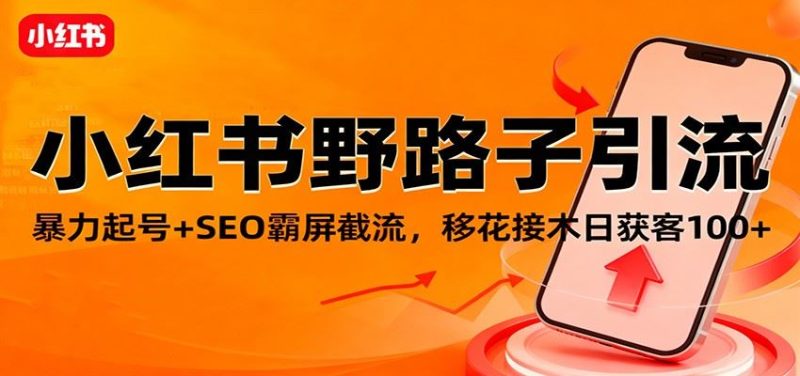 小红书野路子引流，暴力起号+SEO霸屏截流，移花接木日获客100+-云创智库