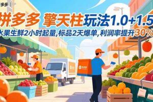 （16557期）拼多多稳定盈利课-11月，强付费SOP+微付费高投产+活动矩阵，单店月入10w+-云创智库