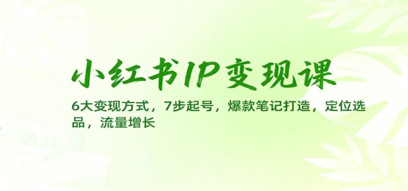 小红书IP变现课：6大变现方式，7步起号，爆款笔记打造，定位选品，流量增长-云创智库