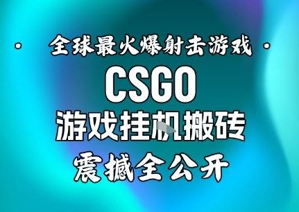 【年底大揭秘】基于全球最火爆的射击CSGO游戏挂G搬砖，日入5张+，震撼公开-云创智库