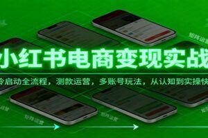 高阶写作变现课：IPO创作系统，AI辅助，数据复盘，一篇文章搭建睡后财富管道-云创智库