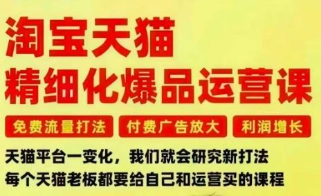 淘宝天猫精细化爆品运营课，免费流量打法-付费广告放大-利润增长-三大核心痛点，一次全部解决-云创智库