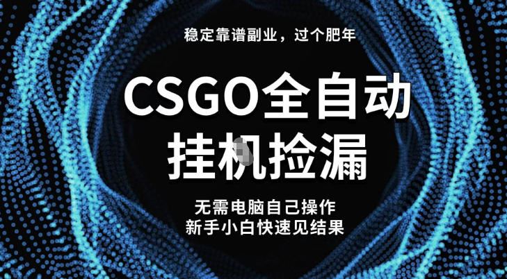 【稳定副业】全球最热门游戏CSGO全自动捡漏，最新玩法，新手小白日入5张+【揭秘】-云创智库