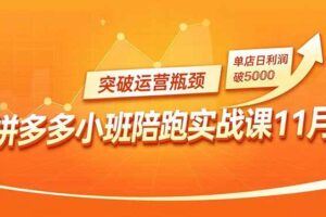 （16680期）电商作图效率提升课，批量生产、模板应用、流程优化，20+细分品类实操案例，月赚3万-云创智库