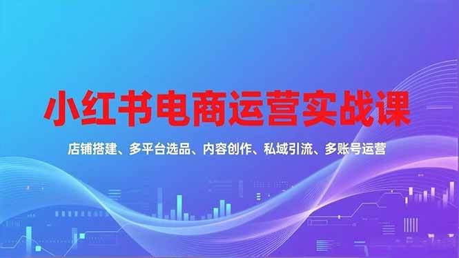 （16695期）小红书电商运营实战课，店铺搭建、多平台选品、内容创作、私域引流、多账号运营等玩法-云创智库