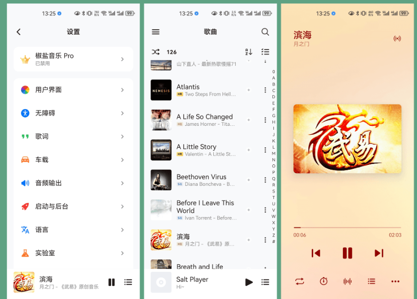 椒盐音乐 Salt Player v10.10.2「 良心免费本地 MP3 无损音乐播放器」-云创智库