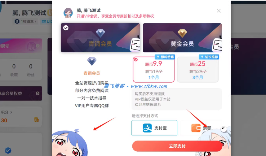 子比主题美化 – 会员购买弹窗增加背景-云创智库