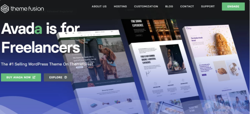 WordPress主题–Avada主题 v7.13 破解版下载-云创智库