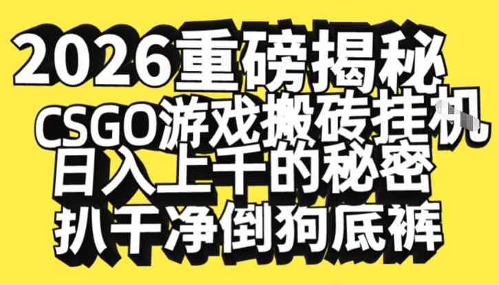 2026开年重磅解密，CSGO游戏搬砖挂G日入1k+的秘密，把倒狗的底裤扒干【揭秘】-云创智库