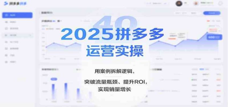 2025拼多多运营实操，用案例拆解逻辑，突破流量瓶颈、提升ROI，实现销量增长（更新）-云创智库