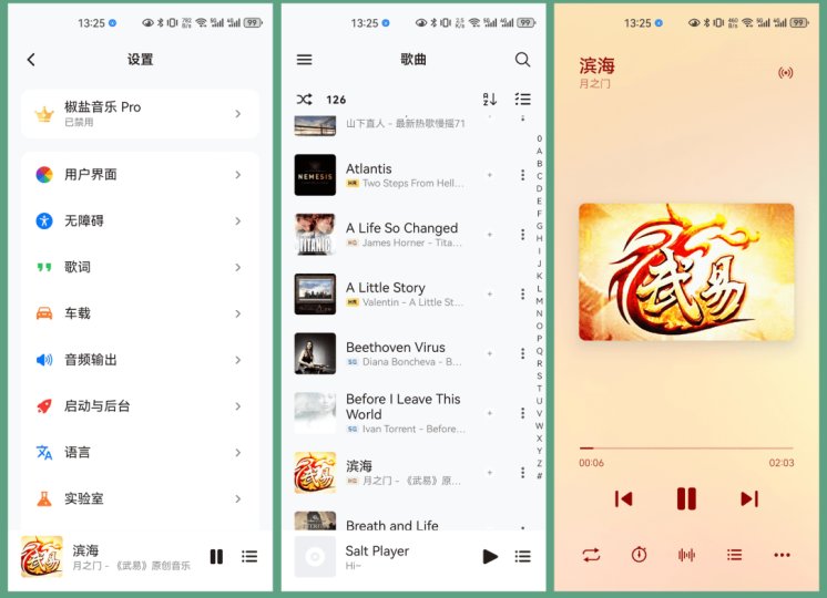 椒盐音乐 Salt Player v10.10.2「 良心免费本地 MP3 无损音乐播放器」-云创智库