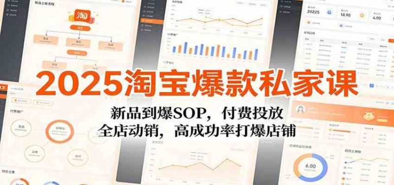 2025淘宝爆款私家课：新品到爆SOP，付费投放，全店动销，高成功率打爆店铺-云创智库